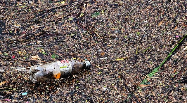 TECNOLOGÍA Y PLÁSTICOS BIODEGRADABLES