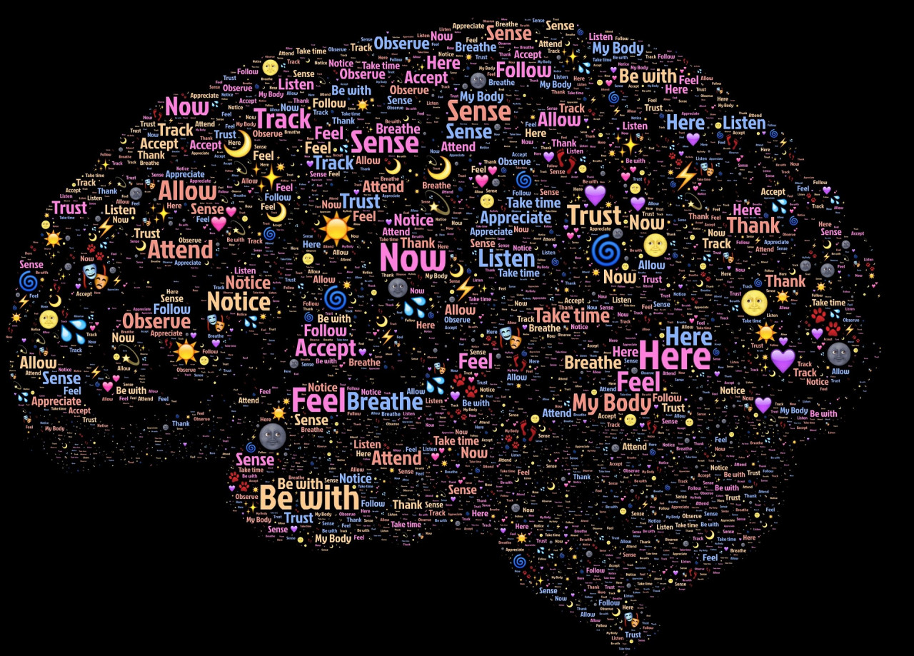 Tipos de inteligencias múltiples