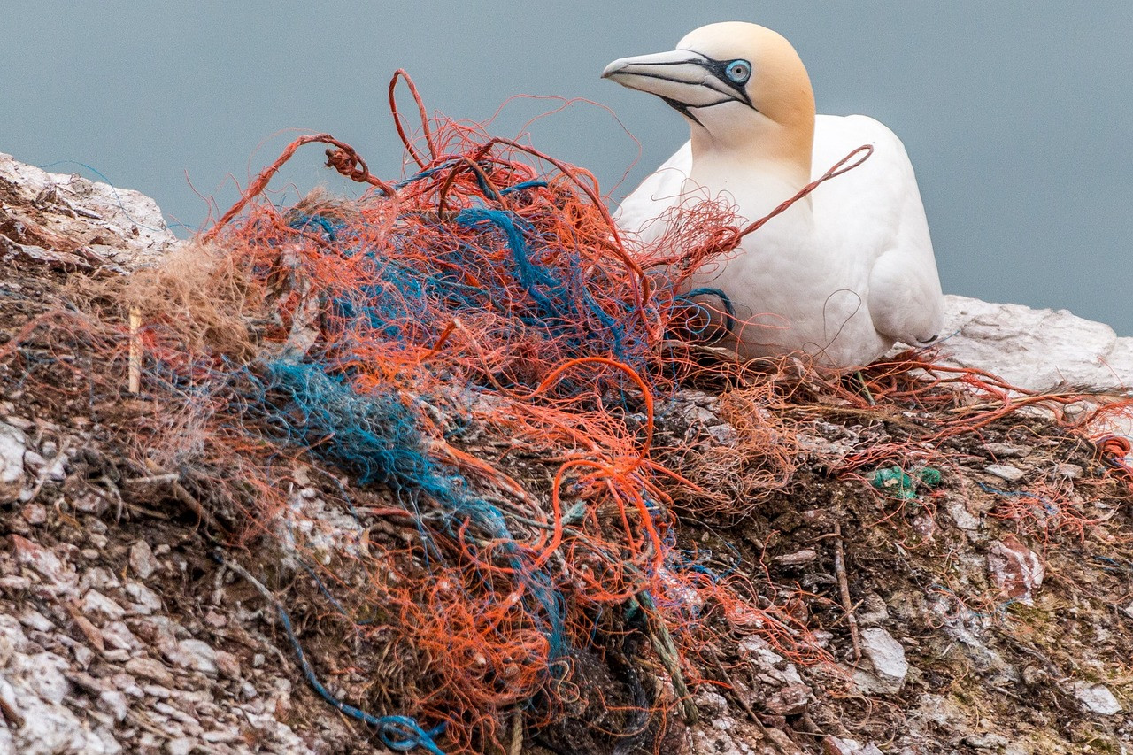 ¿Qué es la isla de plástico en el pacifico?