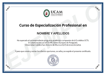 Título Universidad Católica de Murcia